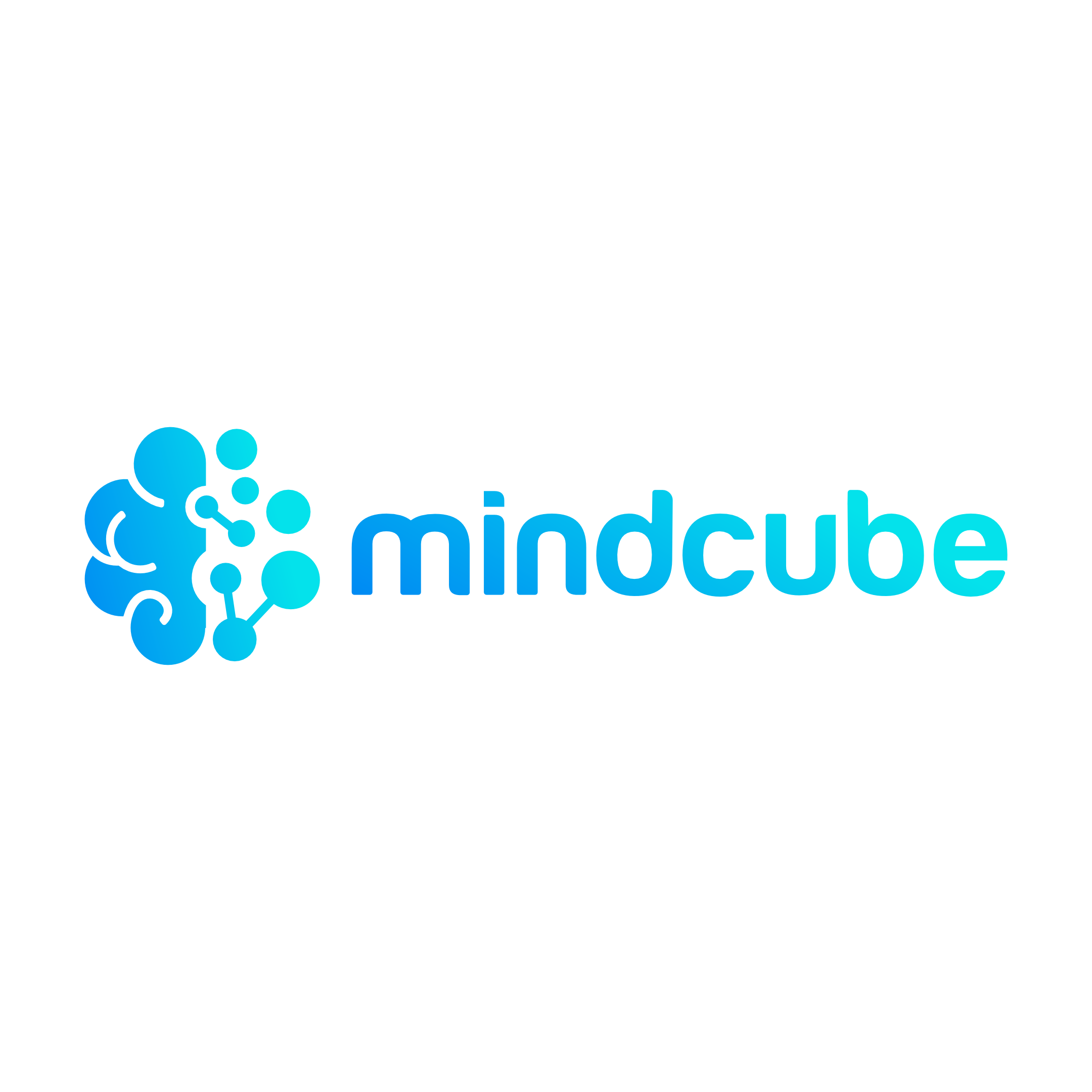 MindCube